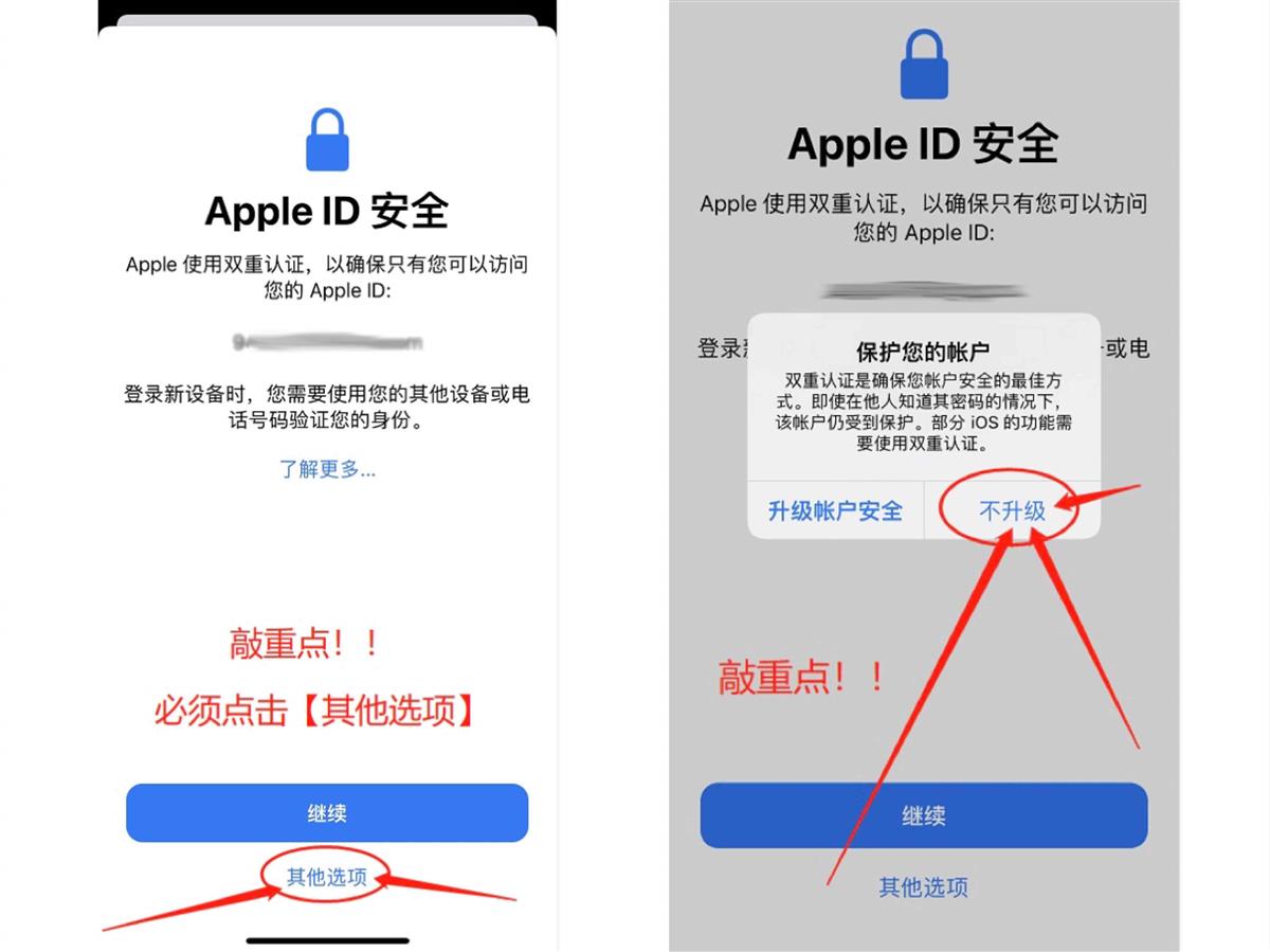Apple ID 安全界面:其他选项与不升级按钮示意